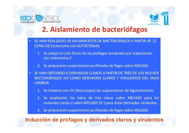 aislamiento de bacteriofagos de e.coli